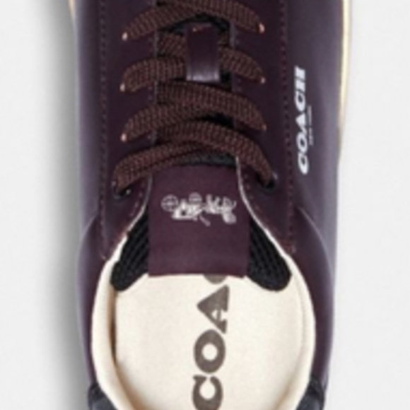 COACH CLIP LOW TOP NWT - Picture 4 of 5